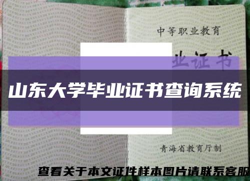 山东大学毕业证书查询系统缩略图