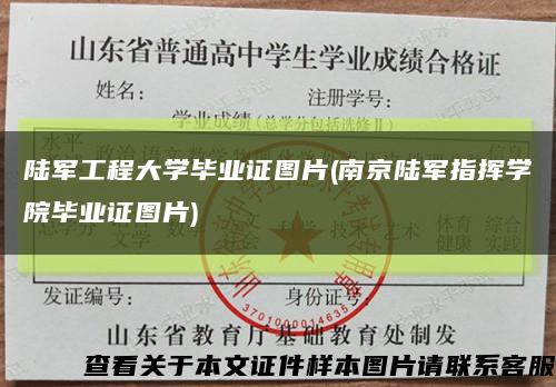 陆军工程大学毕业证图片(南京陆军指挥学院毕业证图片)缩略图