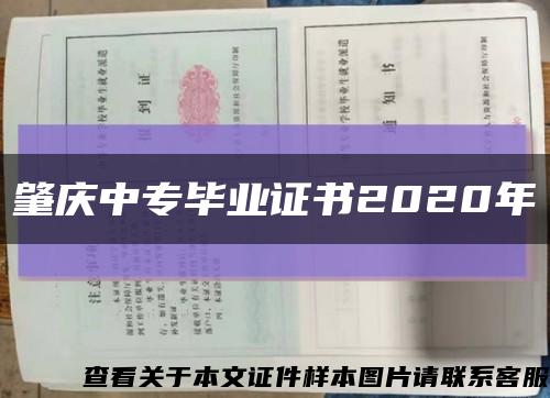 肇庆中专毕业证书2020年缩略图