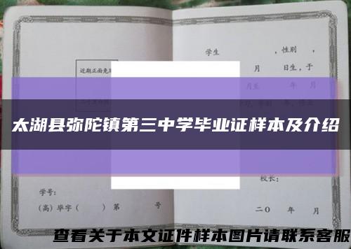 太湖县弥陀镇第三中学毕业证样本及介绍缩略图
