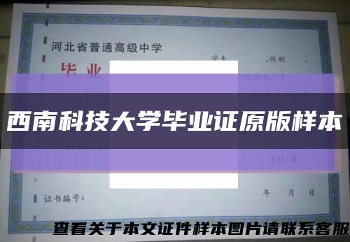 西南科技大学毕业证原版样本缩略图