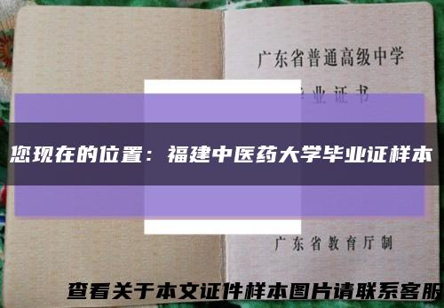 您现在的位置：福建中医药大学毕业证样本缩略图