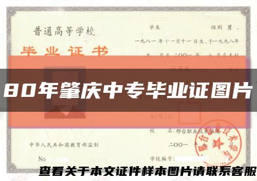 80年肇庆中专毕业证图片缩略图