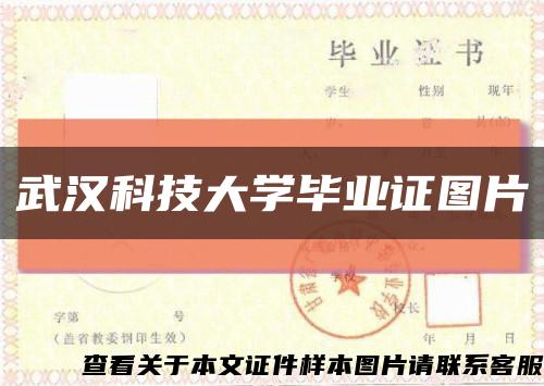 武汉科技大学毕业证图片缩略图