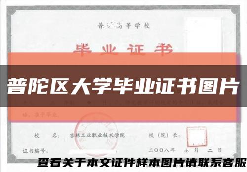 普陀区大学毕业证书图片缩略图
