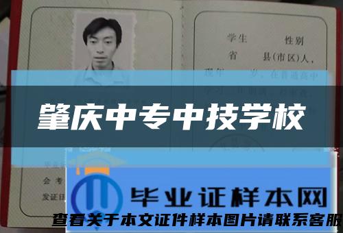 肇庆中专中技学校缩略图