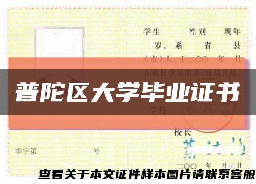 普陀区大学毕业证书缩略图