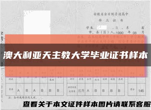 澳大利亚天主教大学毕业证书样本缩略图