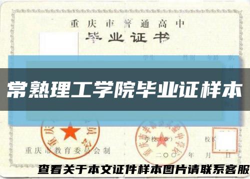 常熟理工学院毕业证样本缩略图