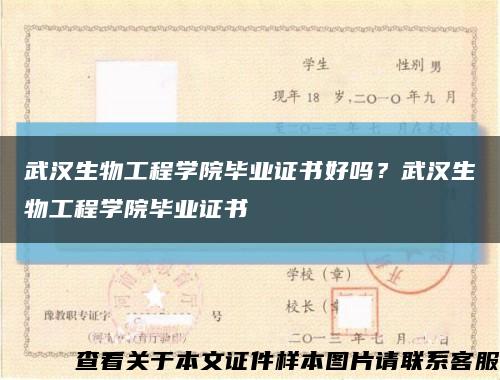 武汉生物工程学院毕业证书好吗？武汉生物工程学院毕业证书缩略图