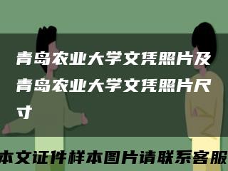 青岛农业大学文凭照片及青岛农业大学文凭照片尺寸缩略图
