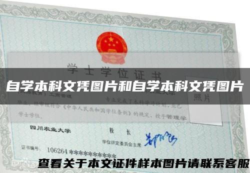 自学本科文凭图片和自学本科文凭图片缩略图