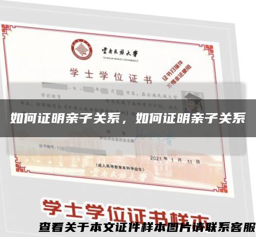 如何证明亲子关系，如何证明亲子关系缩略图