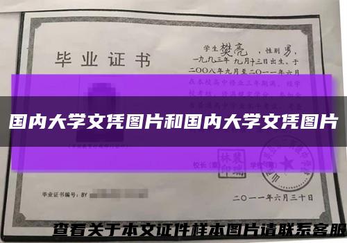 国内大学文凭图片和国内大学文凭图片缩略图