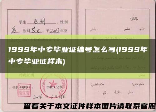 1999年中专毕业证编号怎么写(1999年中专毕业证样本)缩略图