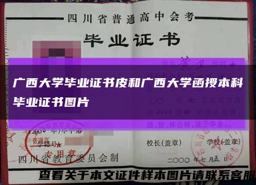 广西大学毕业证书皮和广西大学函授本科毕业证书图片缩略图