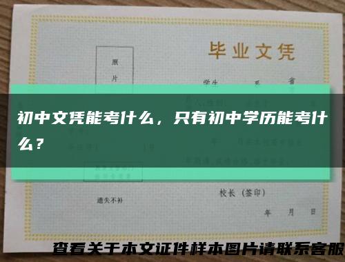 初中文凭能考什么，只有初中学历能考什么？缩略图