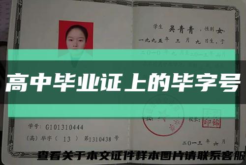 高中毕业证上的毕字号缩略图