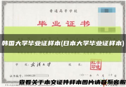 韩国大学毕业证样本(日本大学毕业证样本)缩略图
