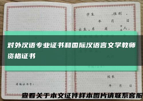 对外汉语专业证书和国际汉语言文学教师资格证书缩略图