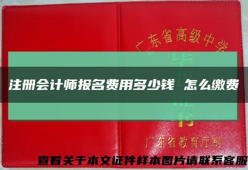 注册会计师报名费用多少钱 怎么缴费缩略图