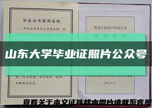 山东大学毕业证照片公众号缩略图