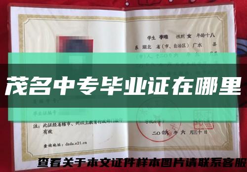 茂名中专毕业证在哪里缩略图