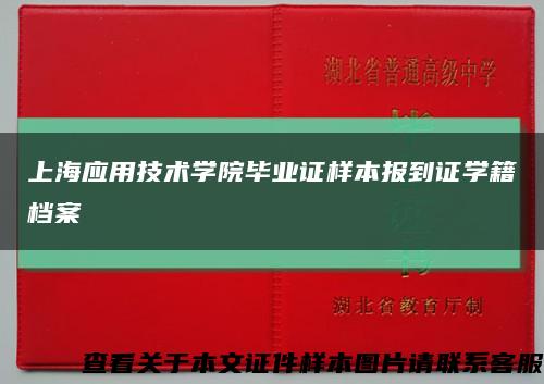 上海应用技术学院毕业证样本报到证学籍档案缩略图