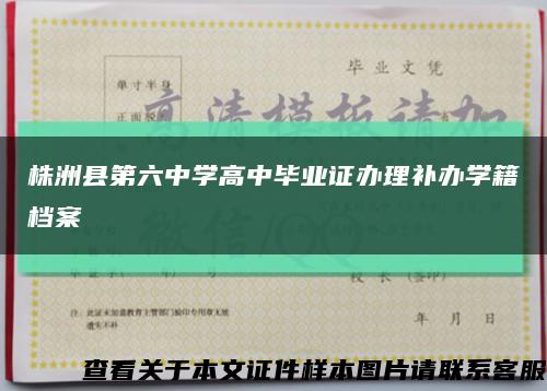 株洲县第六中学高中毕业证办理补办学籍档案缩略图