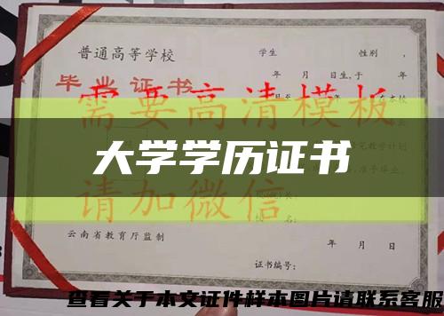 大学学历证书缩略图