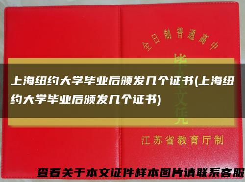上海纽约大学毕业后颁发几个证书(上海纽约大学毕业后颁发几个证书)缩略图
