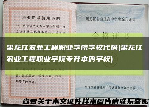黑龙江农业工程职业学院学校代码(黑龙江农业工程职业学院专升本的学校)缩略图