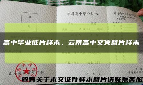 高中毕业证片样本，云南高中文凭图片样本缩略图