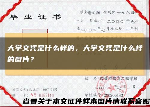 大学文凭是什么样的，大学文凭是什么样的图片？缩略图