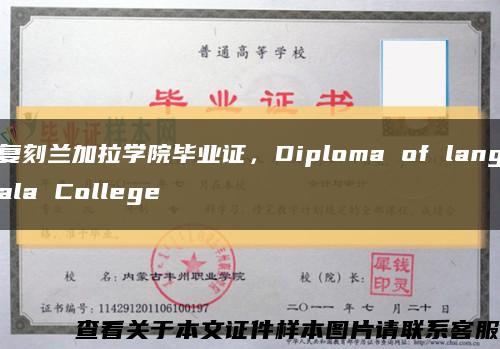 复刻兰加拉学院毕业证，Diploma of langala College缩略图