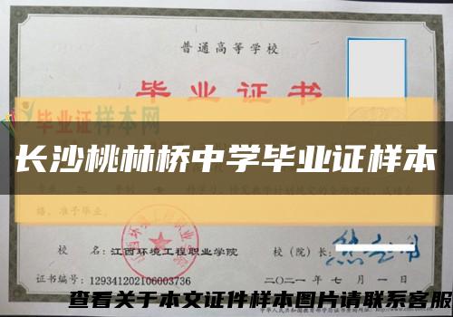 长沙桃林桥中学毕业证样本缩略图