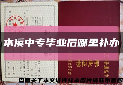 本溪中专毕业后哪里补办缩略图