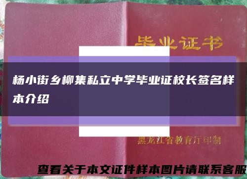 杨小街乡柳集私立中学毕业证校长签名样本介绍缩略图
