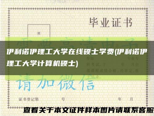 伊利诺伊理工大学在线硕士学费(伊利诺伊理工大学计算机硕士)缩略图