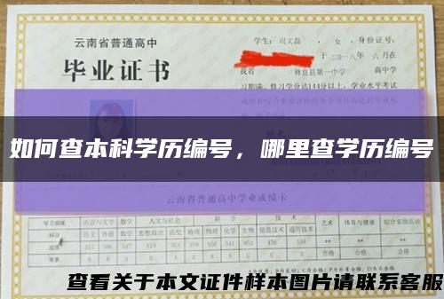 如何查本科学历编号，哪里查学历编号缩略图