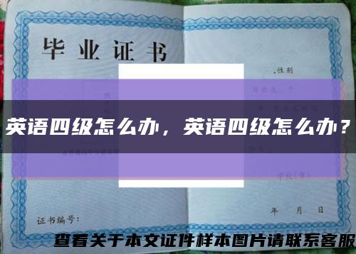 英语四级怎么办，英语四级怎么办？缩略图