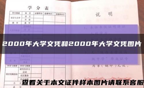 2000年大学文凭和2000年大学文凭图片缩略图
