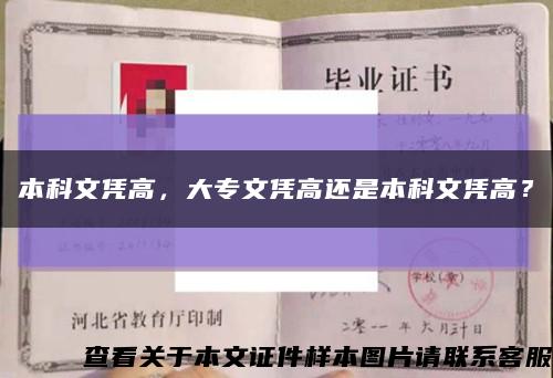 本科文凭高，大专文凭高还是本科文凭高？缩略图