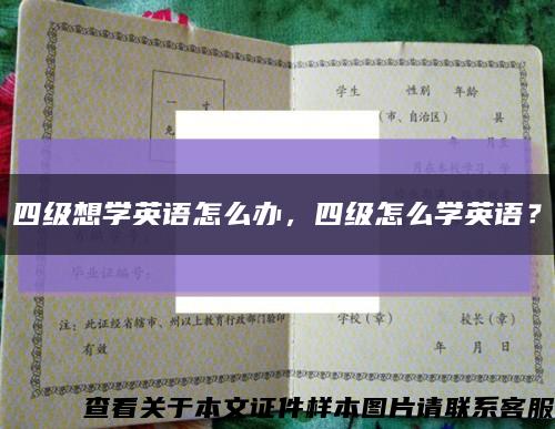 四级想学英语怎么办，四级怎么学英语？缩略图