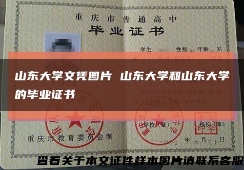 山东大学文凭图片 山东大学和山东大学的毕业证书缩略图
