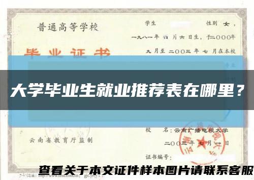 大学毕业生就业推荐表在哪里？缩略图