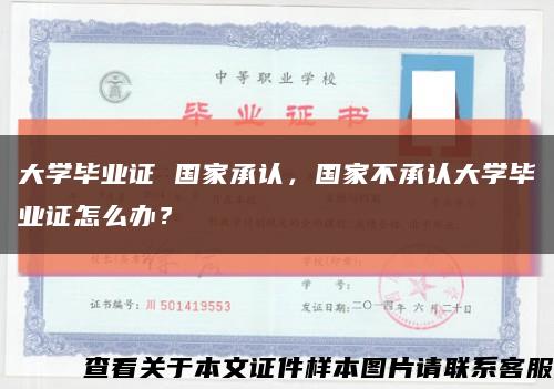 大学毕业证 国家承认，国家不承认大学毕业证怎么办？缩略图