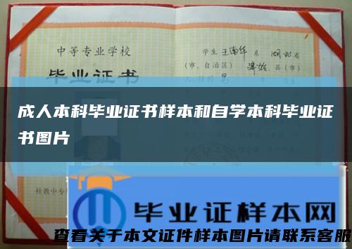 成人本科毕业证书样本和自学本科毕业证书图片缩略图