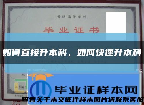 如何直接升本科，如何快速升本科缩略图