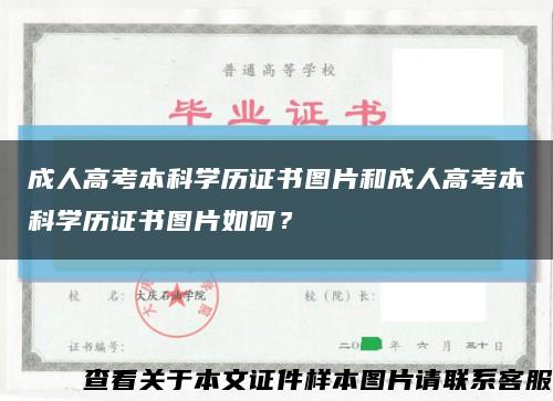 成人高考本科学历证书图片和成人高考本科学历证书图片如何？缩略图
